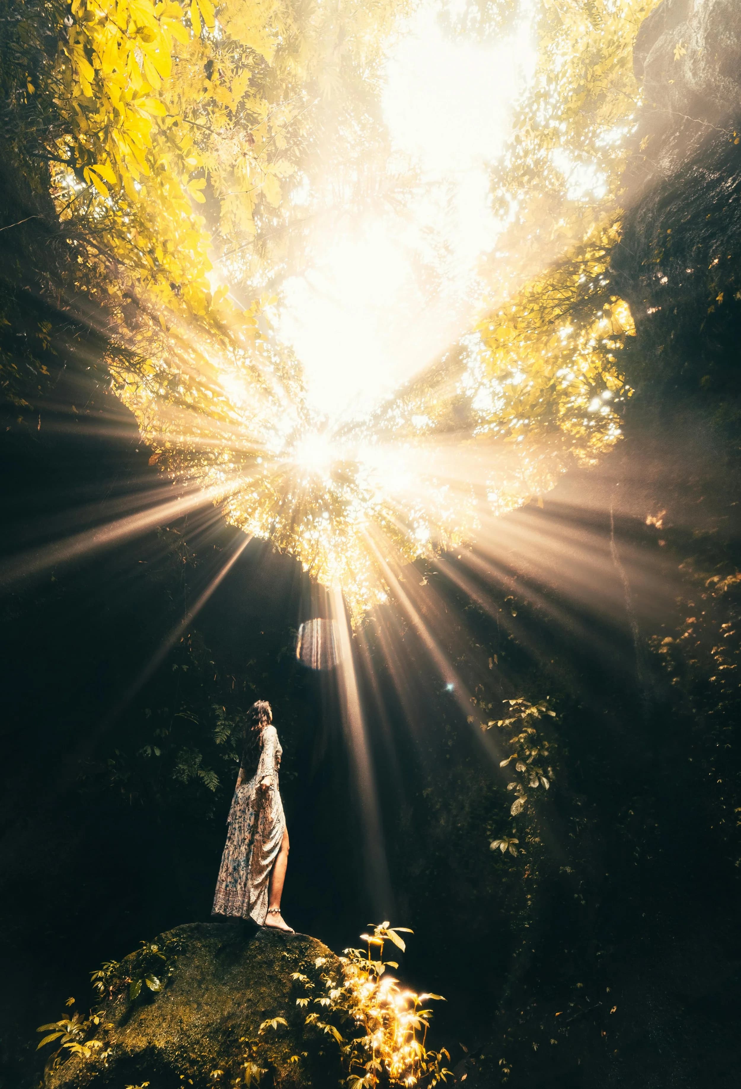A woman standing in a forest with sunlight streaming through trees